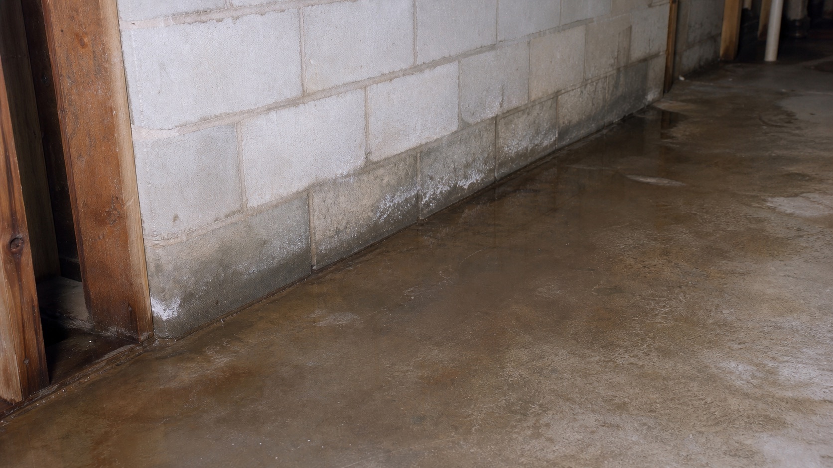 Wet Basement Solutions