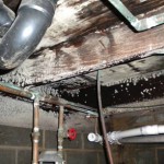 Mold